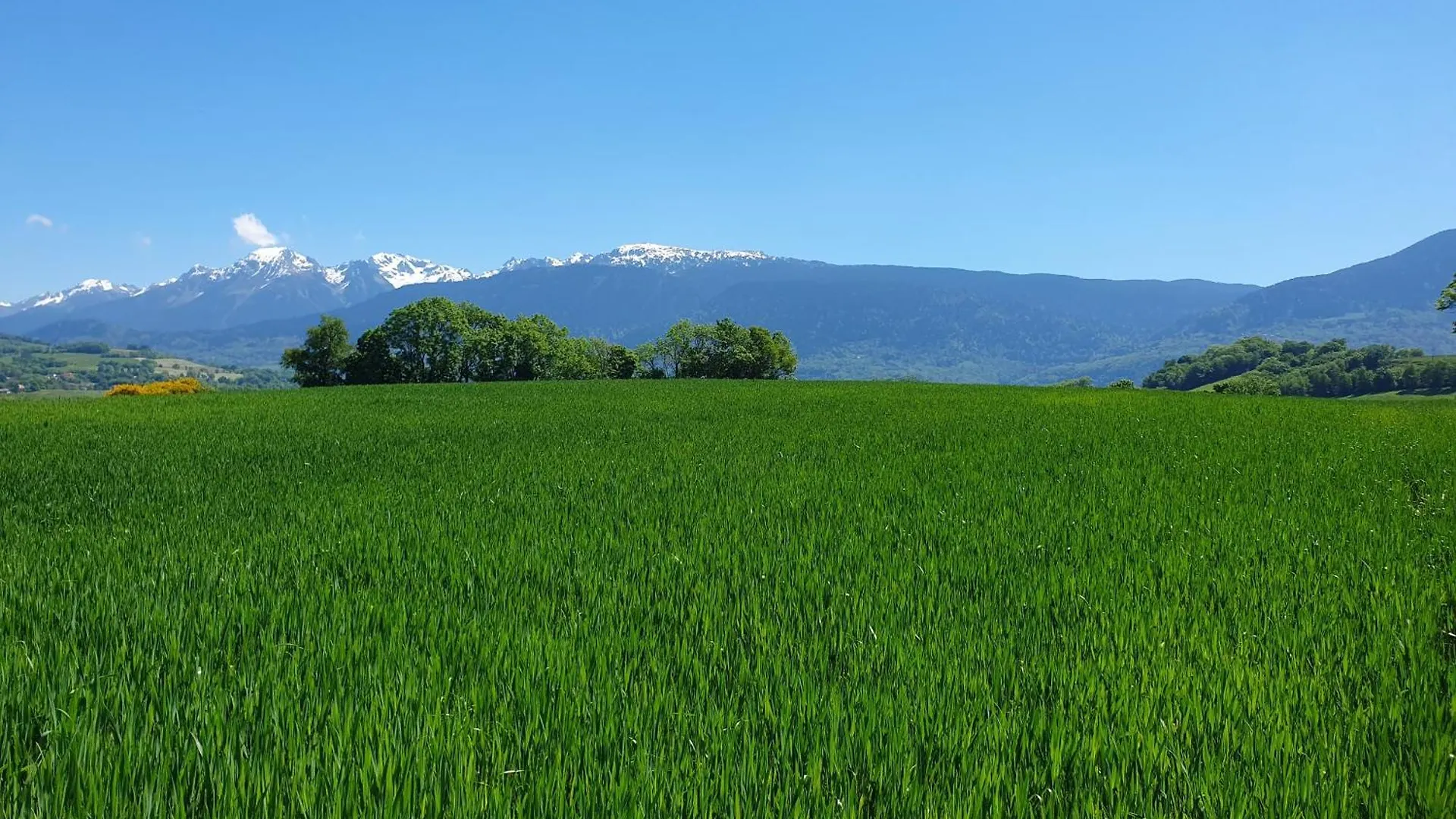 Spacieux Et Charmant T3 Entre Campagne Et Montagne Jarrie